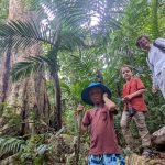 Mehr über den Artikel erfahren #32 San Blas with friends 1 – Jungle-hike to a waterfall
