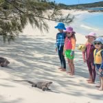 Mehr über den Artikel erfahren #18 Exumas with family 2 – Iguanas and mermaids