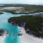 Mehr über den Artikel erfahren #14 Shroud Cay: Exploring marine life in Exuma Land and Sea Park