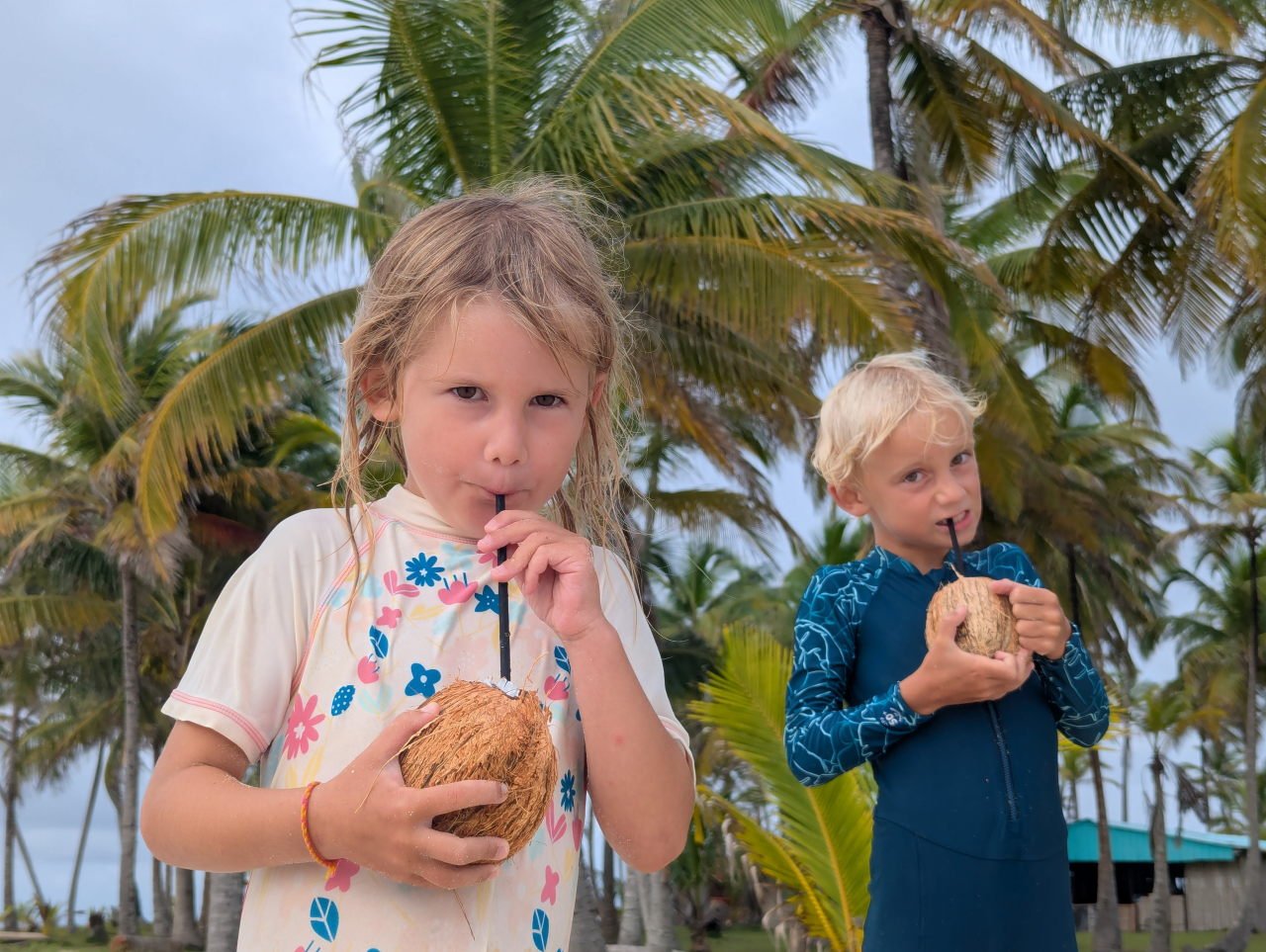 Du betrachtest gerade #28 Life behind the reef