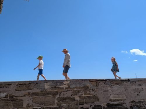 008-PXL 20250313 165149337