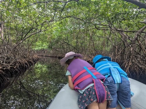 009-PXL 20250528 191142642