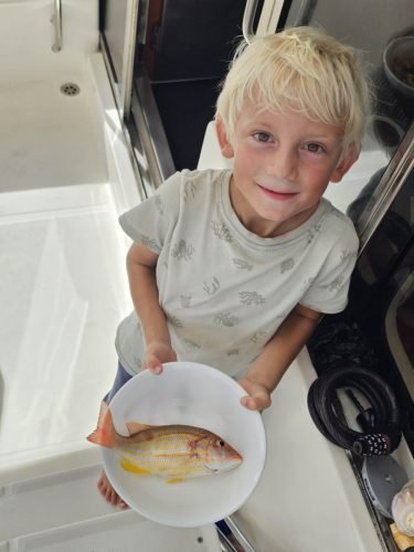 013-013-20250613 083617