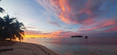 025-WhatsApp-Image-2025-06-01-at-20.54.24 ee083c88