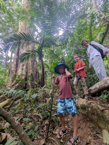 013-PXL 20250812 203208576