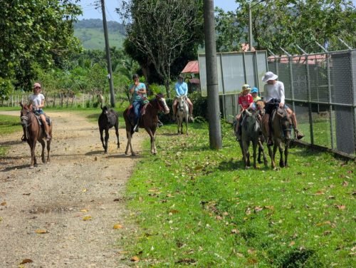 008-PXL 20250822 153943588