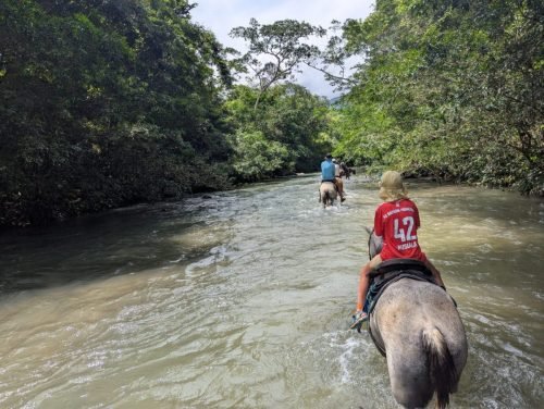 009-PXL 20250822 160915569