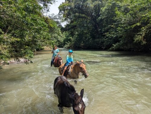 010-PXL 20250822 160918557