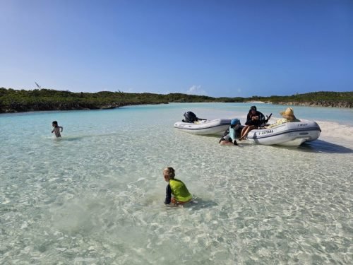 002-20250402 163533 (1)