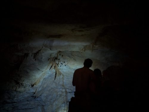 007-PXL 20250501 214511546