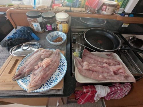 008-PXL 20250519 230536399