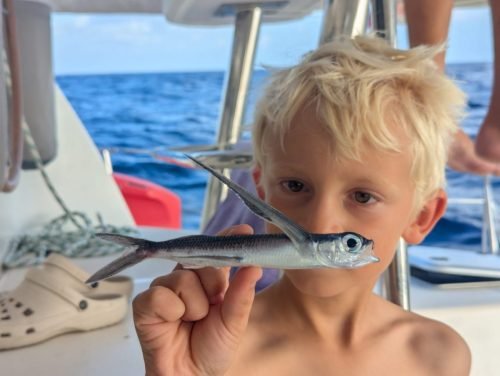 010-PXL 20250520 121910232