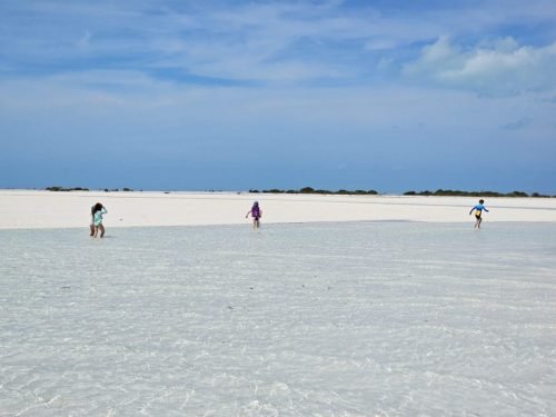 015-20250323 123435 (1)