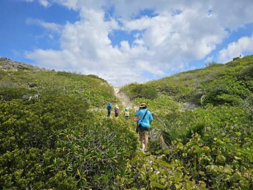 017-20250418 112215 (1)