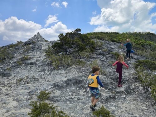 018-20250418 112430 (1)