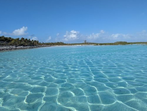 019-PXL 20250406 211947369 (1)