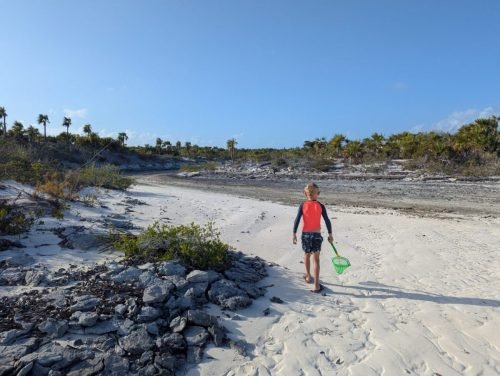 021-PXL 20250406 213825849 (1)