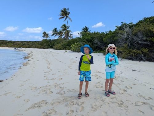 024-PXL 20250419 145545158 (1)