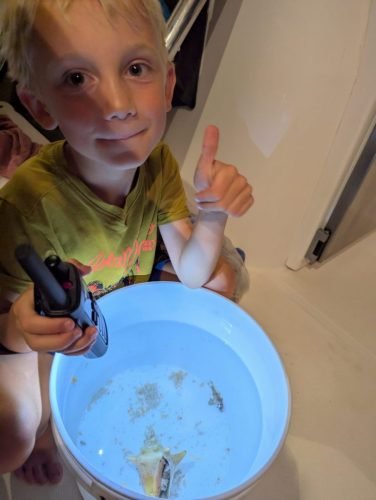 026-PXL 20250413 011401789